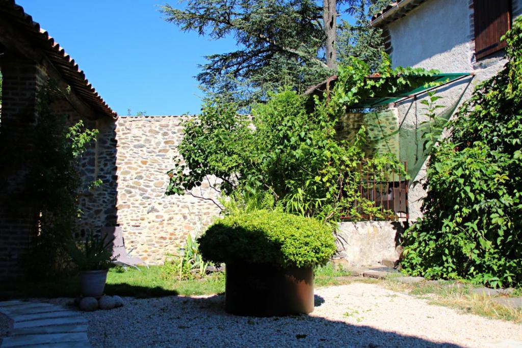 La Ferme Ranc - Gite Le Cosy Gagnières Εξωτερικό φωτογραφία